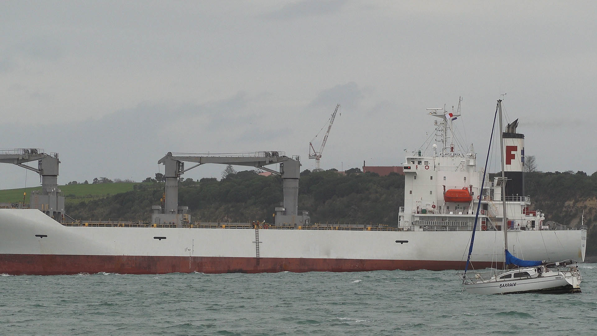 Atlantic Erica